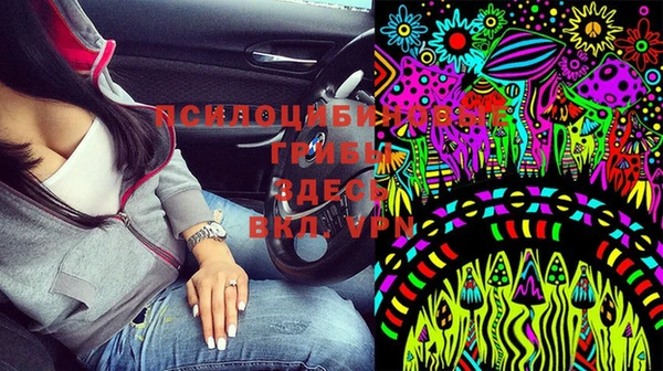 дживик Семилуки