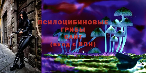 стафф Баксан