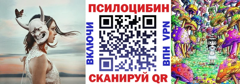 blacksprut вход Белая Холуница Псилоцибиновые грибы Psilocybine cubensis